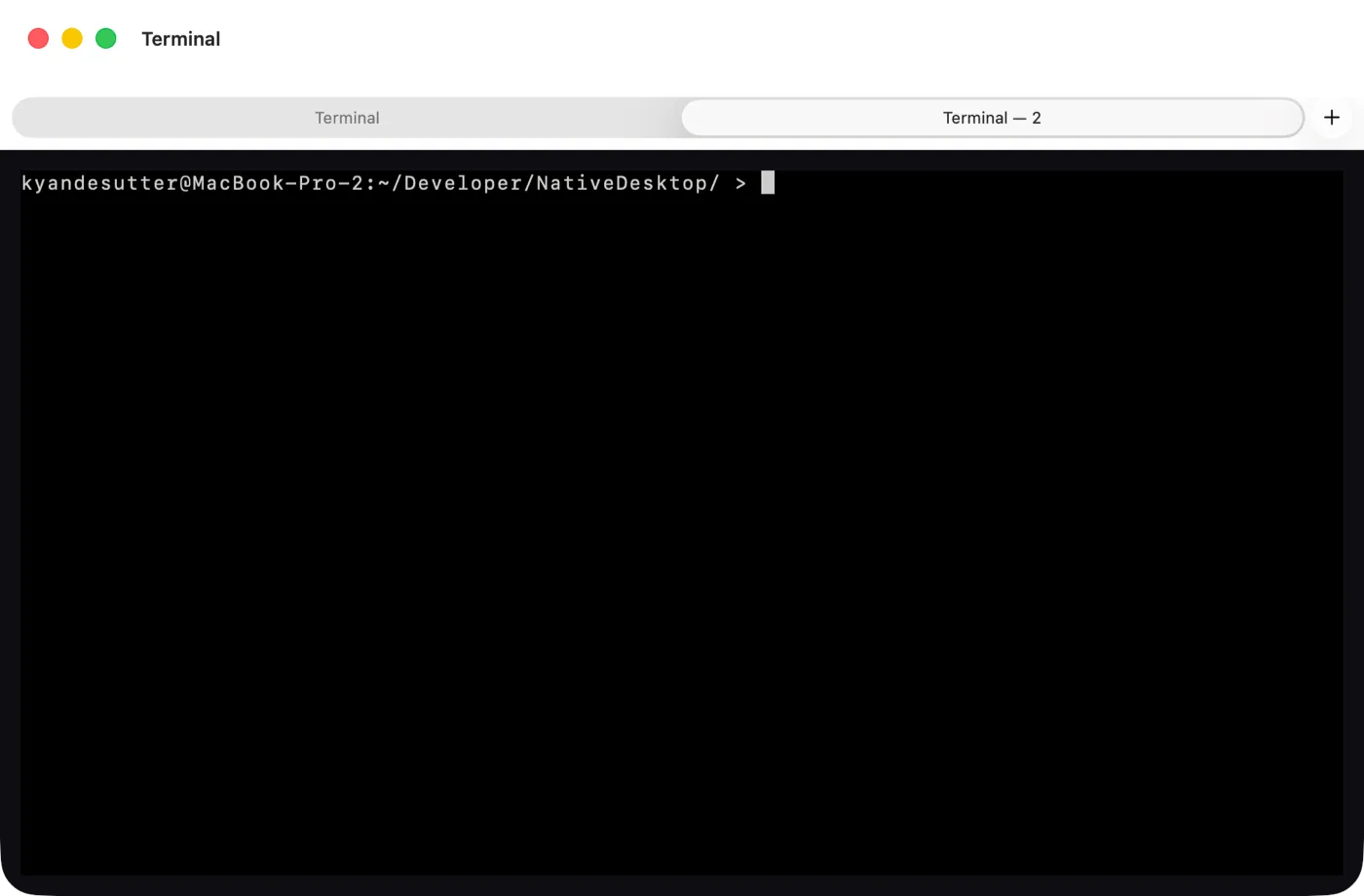 Two native NSWindow tabs and the new-tab button in the terminal example on macOS (AppKit)