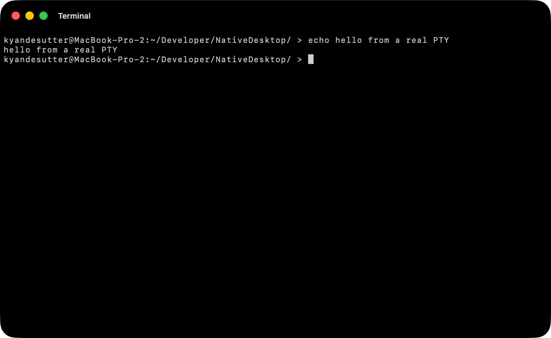 The terminal app rendered by the AppKit backend on macOS