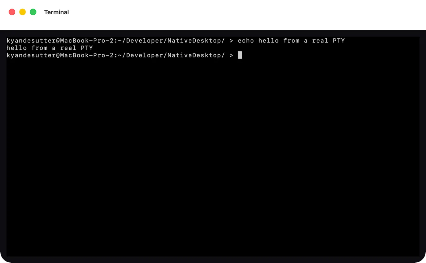 The terminal example running a shell on macOS (AppKit)